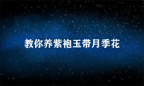 教你养紫袍玉带月季花
