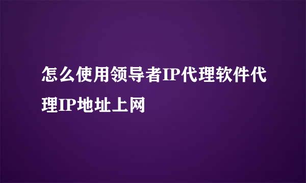 怎么使用领导者IP代理软件代理IP地址上网