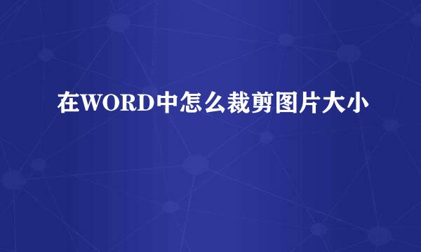 在WORD中怎么裁剪图片大小