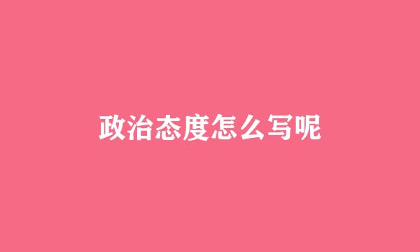 政治态度怎么写呢