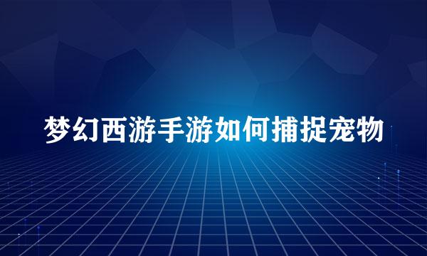 梦幻西游手游如何捕捉宠物