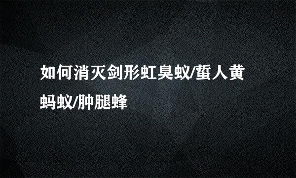 如何消灭剑形虹臭蚁/蜇人黄蚂蚁/肿腿蜂