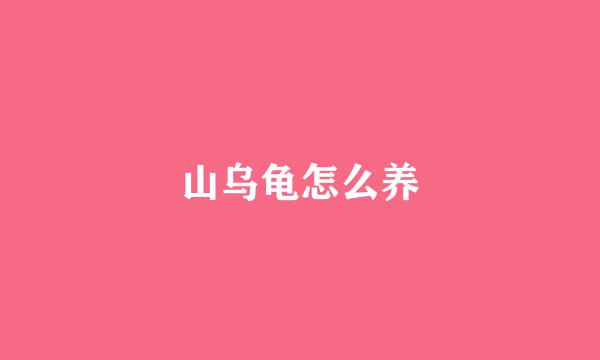 山乌龟怎么养