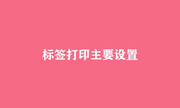标签打印主要设置