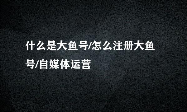 什么是大鱼号/怎么注册大鱼号/自媒体运营