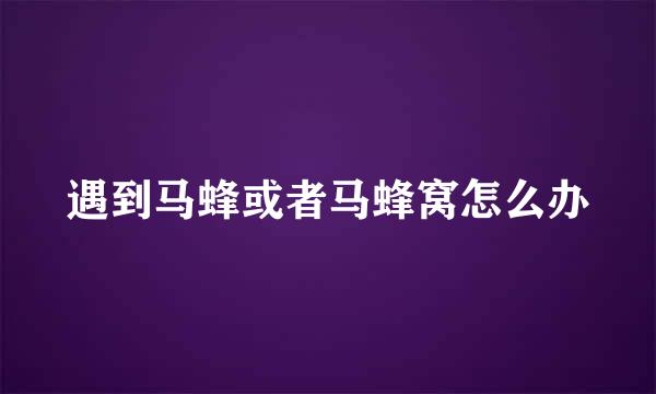 遇到马蜂或者马蜂窝怎么办