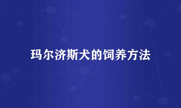 玛尔济斯犬的饲养方法
