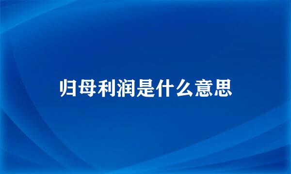 归母利润是什么意思