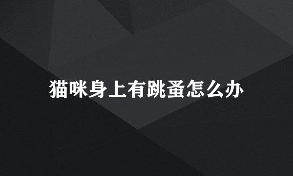 猫咪身上有跳蚤怎么办