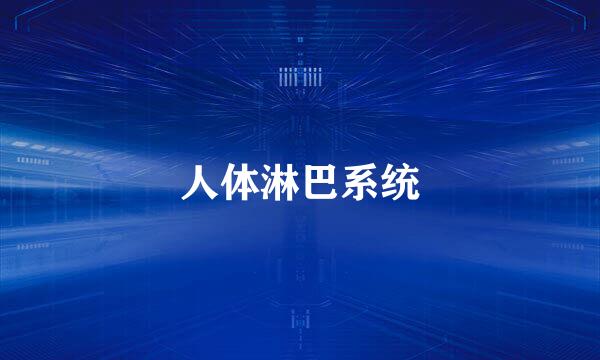 人体淋巴系统