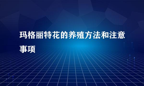 玛格丽特花的养殖方法和注意事项