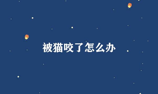 被猫咬了怎么办