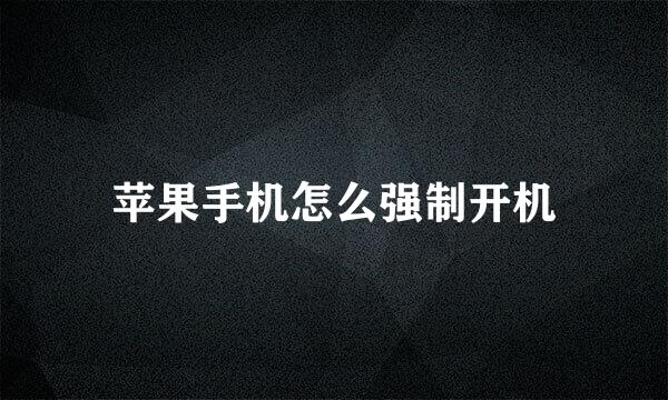 苹果手机怎么强制开机