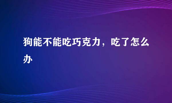 狗能不能吃巧克力，吃了怎么办