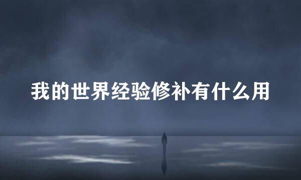 我的世界经验修补有什么用
