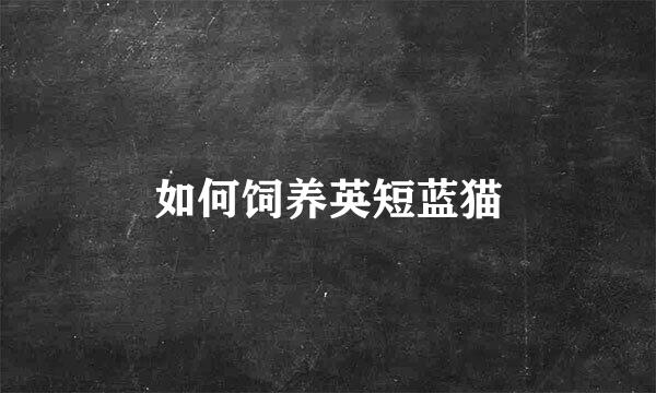 如何饲养英短蓝猫