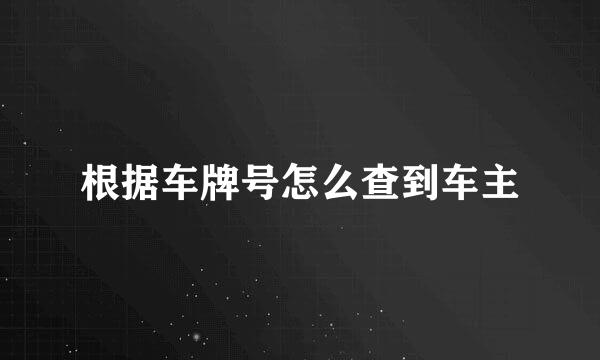 根据车牌号怎么查到车主
