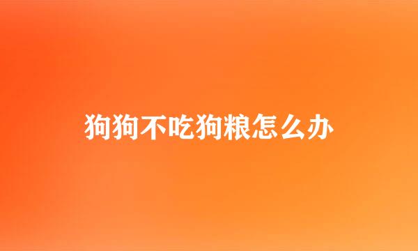 狗狗不吃狗粮怎么办