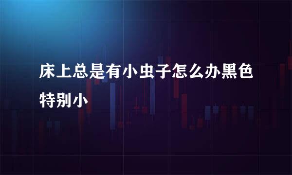 床上总是有小虫子怎么办黑色特别小