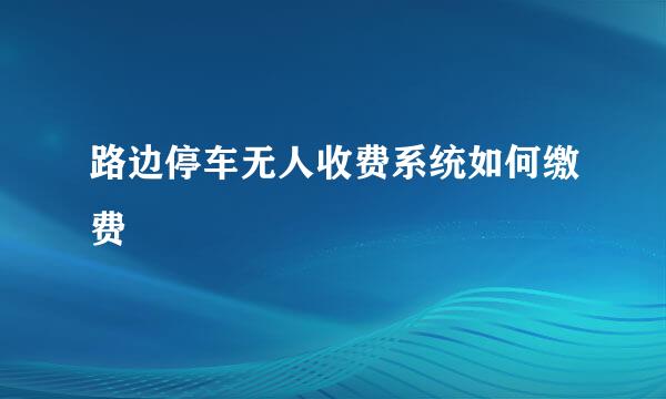 路边停车无人收费系统如何缴费
