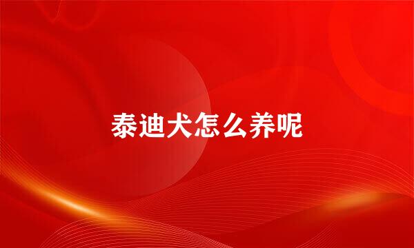 泰迪犬怎么养呢