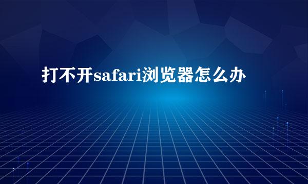 打不开safari浏览器怎么办