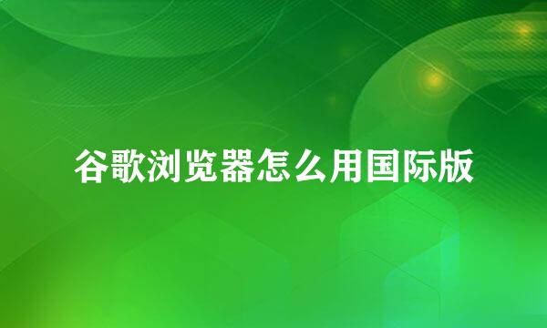 谷歌浏览器怎么用国际版