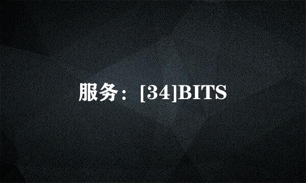 服务：[34]BITS
