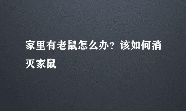 家里有老鼠怎么办？该如何消灭家鼠