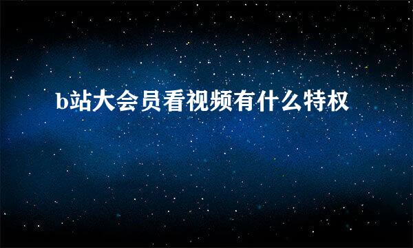 b站大会员看视频有什么特权