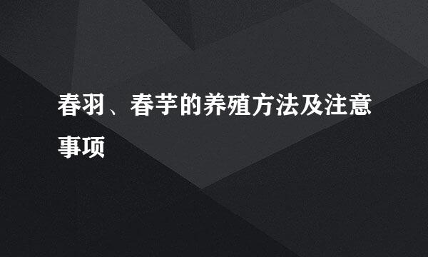春羽、春芋的养殖方法及注意事项