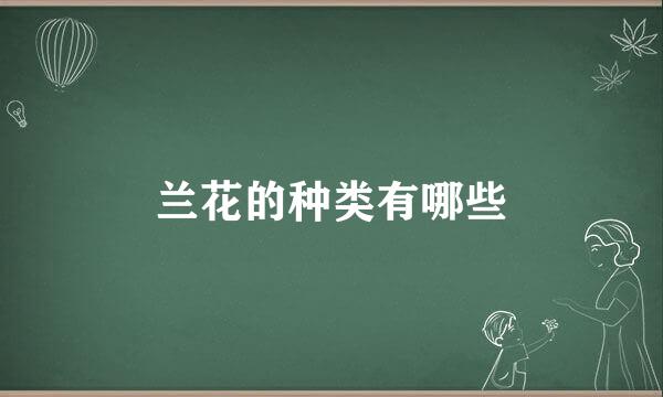 兰花的种类有哪些