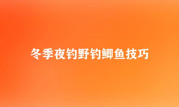 冬季夜钓野钓鲫鱼技巧