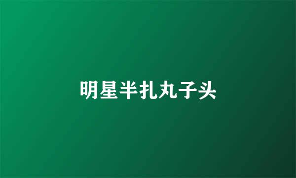 明星半扎丸子头