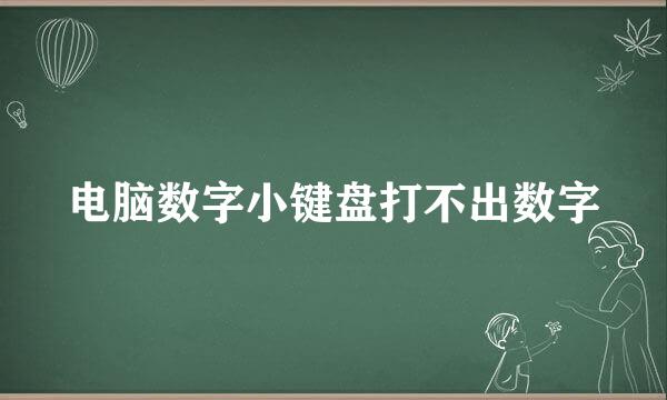 电脑数字小键盘打不出数字
