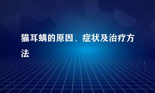 猫耳螨的原因、症状及治疗方法