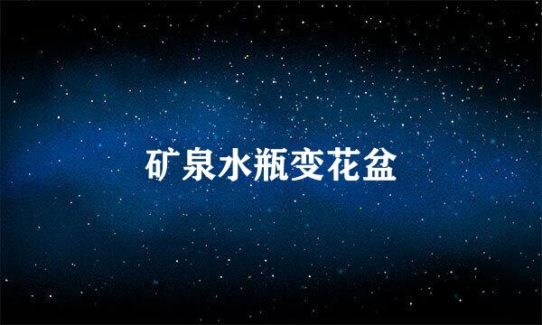 矿泉水瓶变花盆