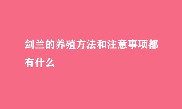 剑兰的养殖方法和注意事项都有什么