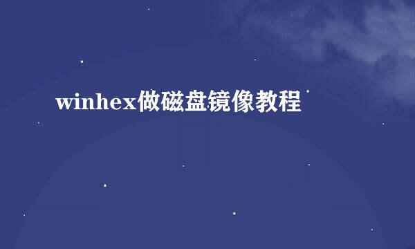 winhex做磁盘镜像教程