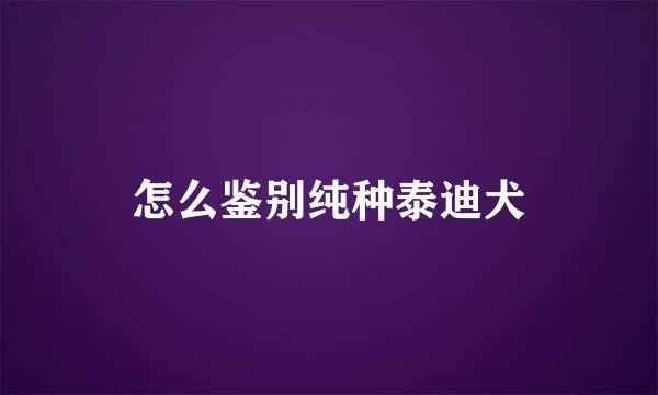 怎么鉴别纯种泰迪犬