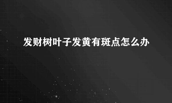 发财树叶子发黄有斑点怎么办