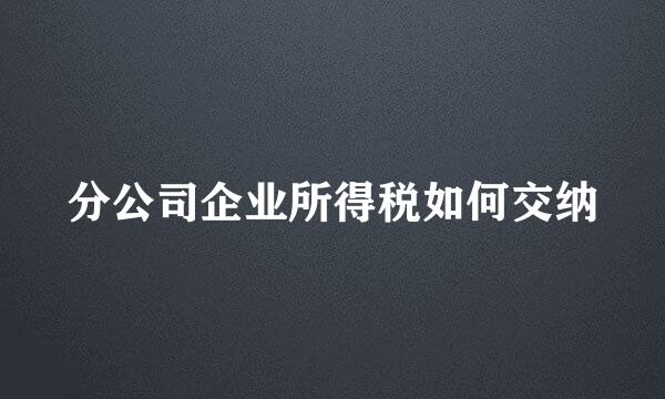 分公司企业所得税如何交纳