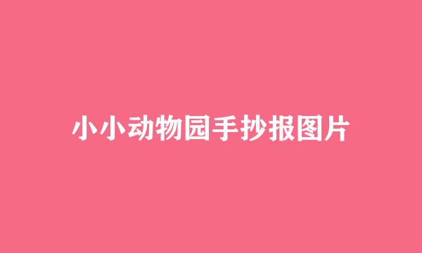 小小动物园手抄报图片