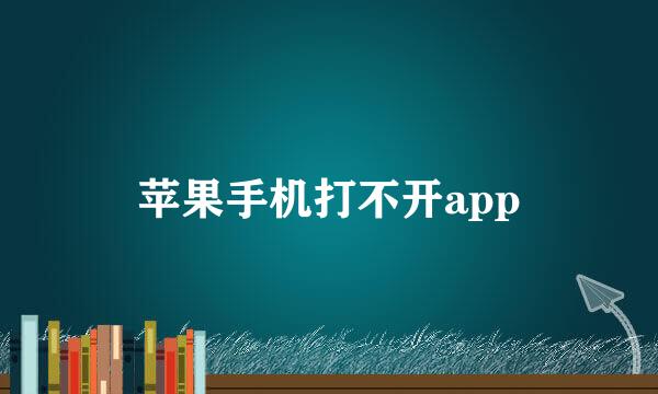 苹果手机打不开app
