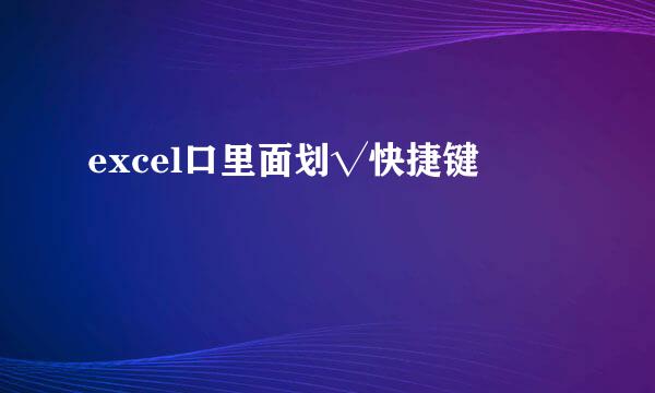 excel口里面划√快捷键