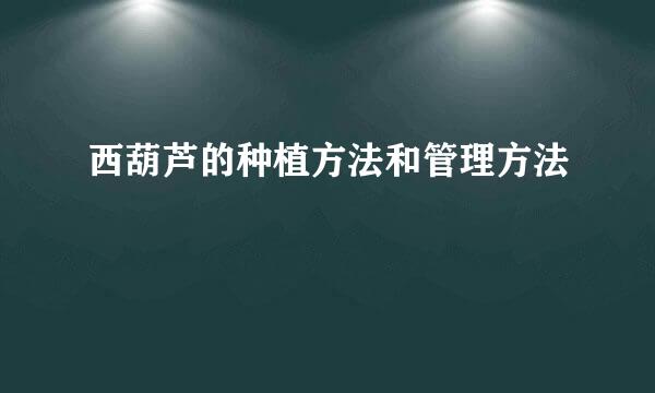 西葫芦的种植方法和管理方法