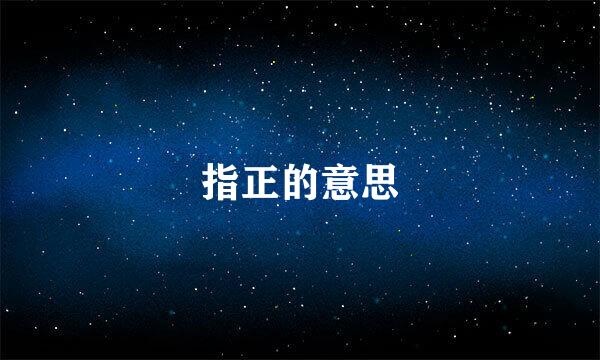 指正的意思
