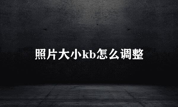 照片大小kb怎么调整