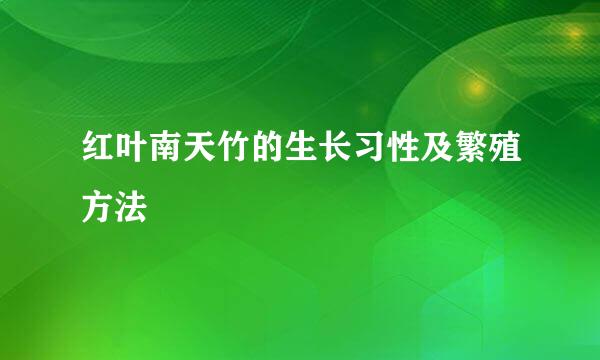 红叶南天竹的生长习性及繁殖方法