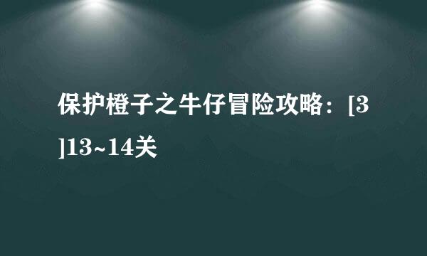 保护橙子之牛仔冒险攻略：[3]13~14关